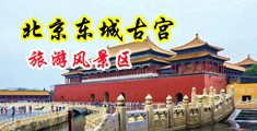 草逼的网站免费看中国北京-东城古宫旅游风景区